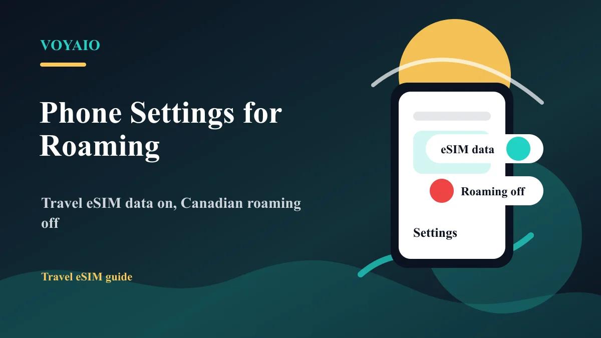 Best Phone Settings to Avoid Roaming Charges | Voyaio
