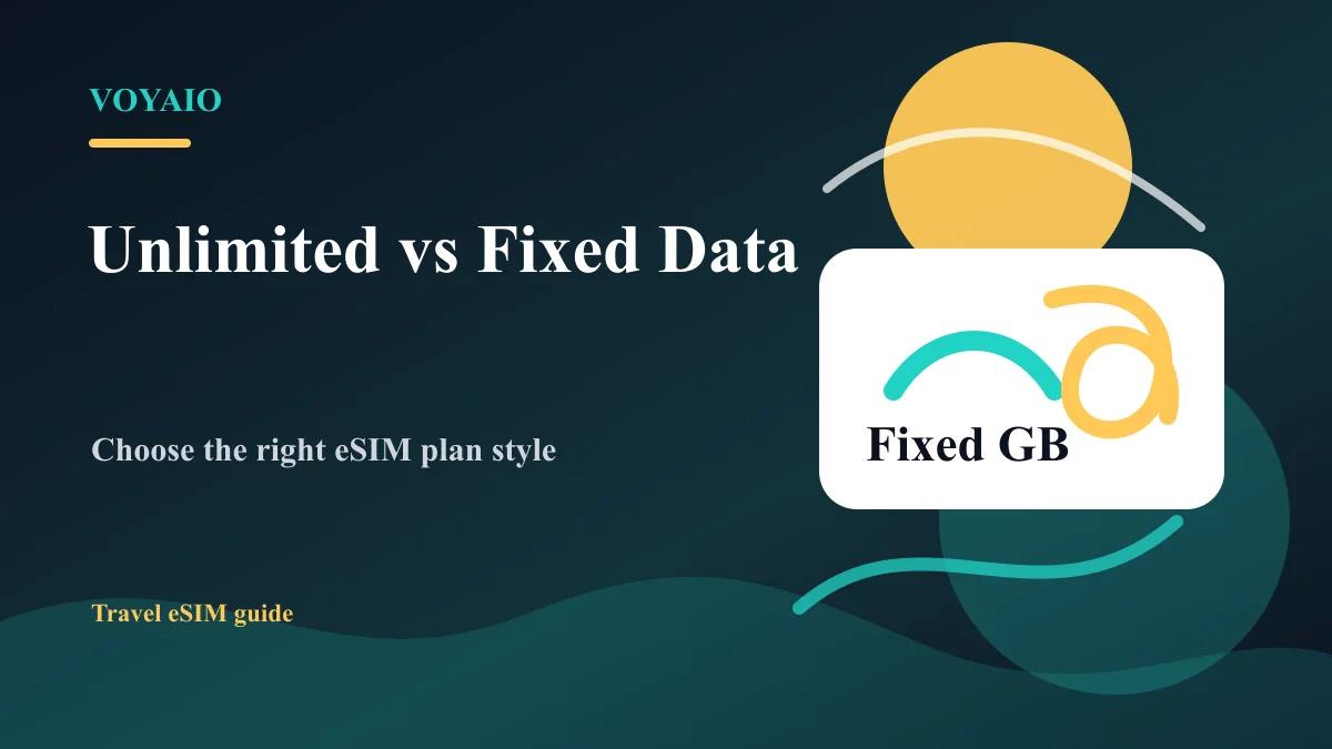 Unlimited eSIM vs Fixed Data eSIM: Which Is Better? | Voyaio