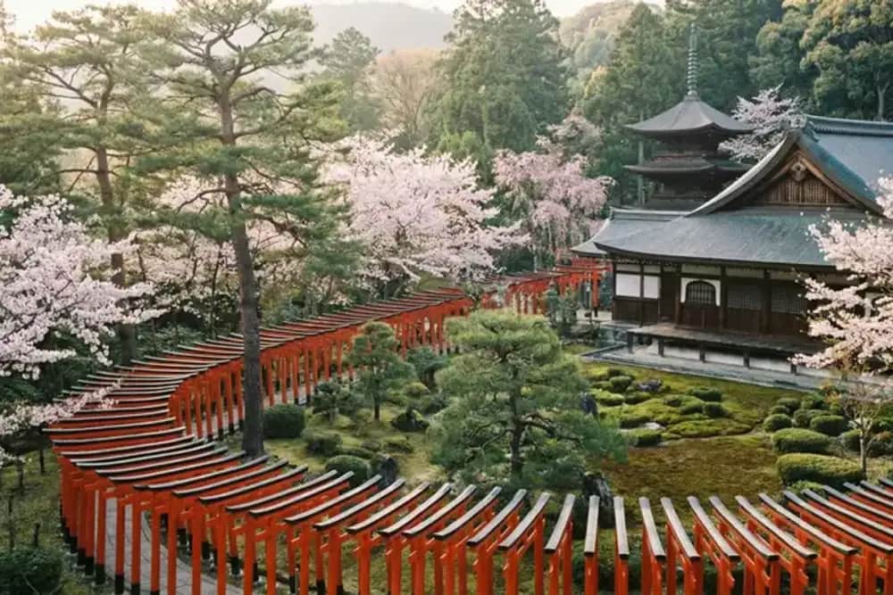 Japan travel eSIM
