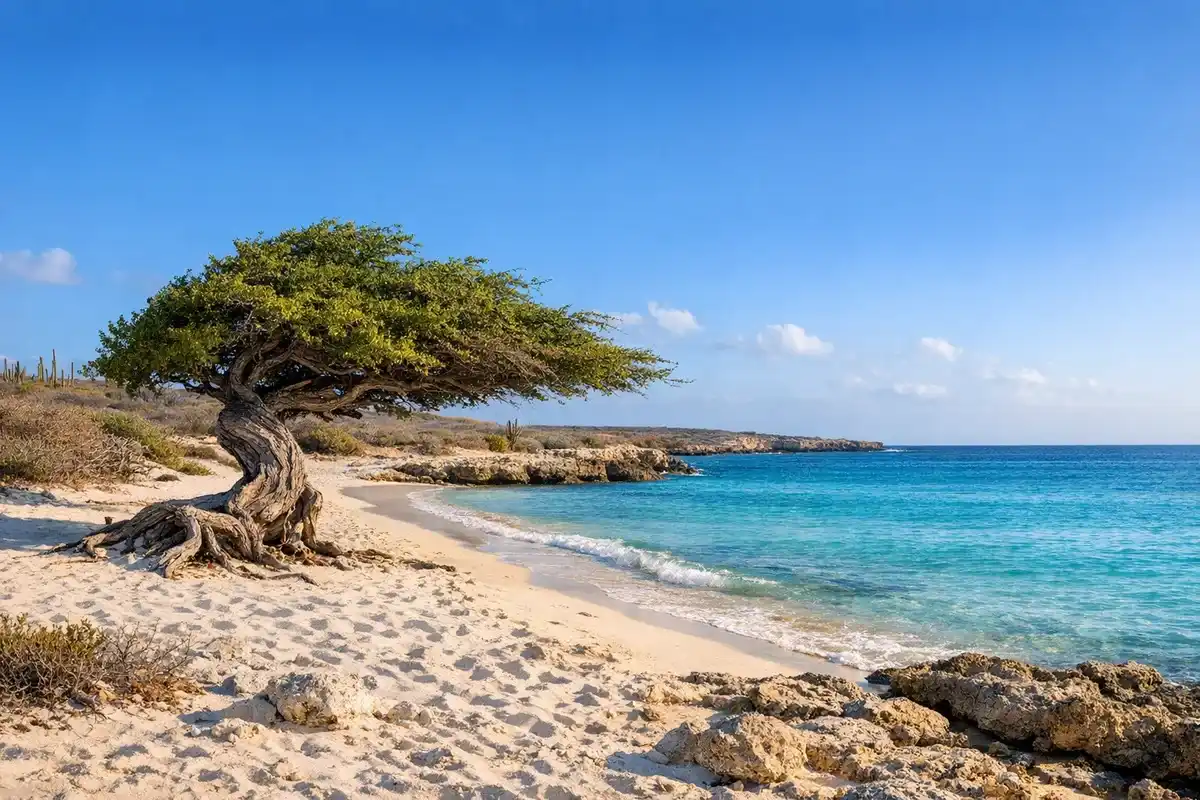 Aruba travel eSIM