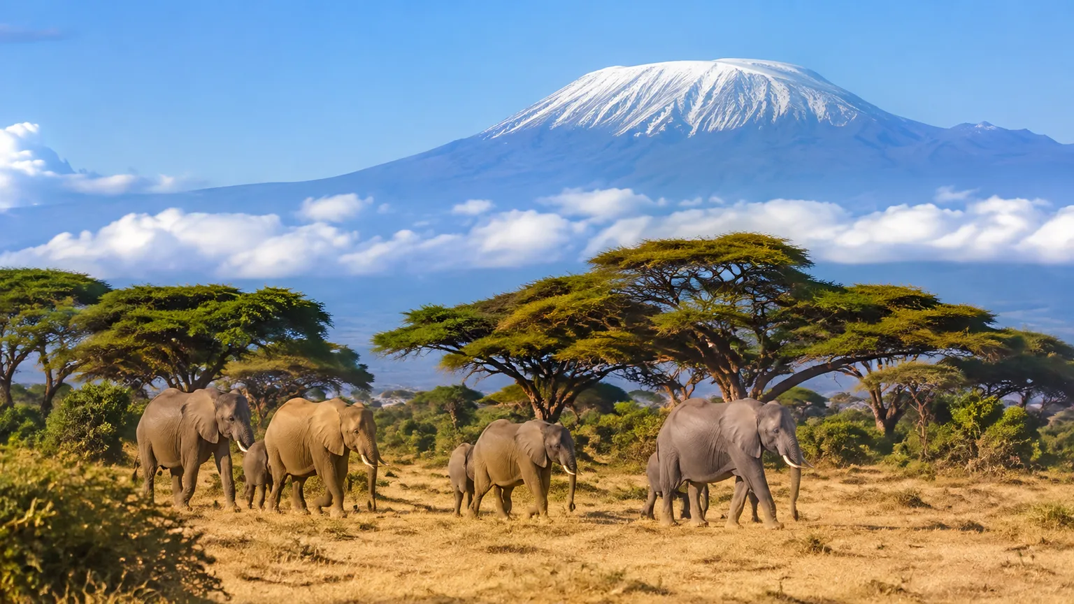 Tanzania travel eSIM