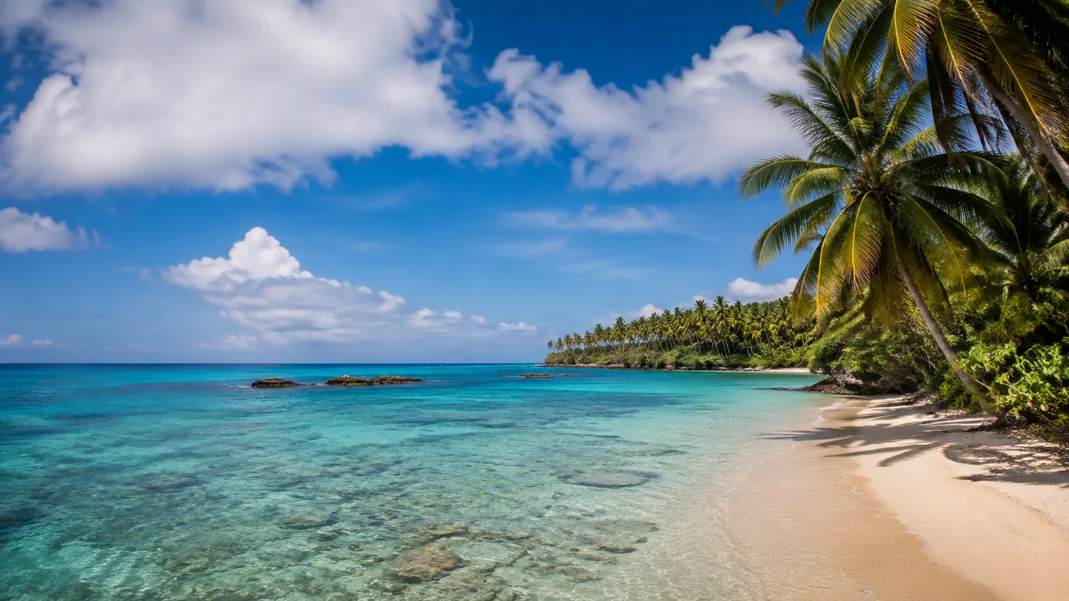 Tonga travel eSIM